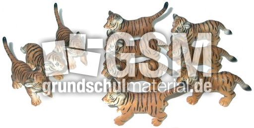 Tiger-3+7.jpg